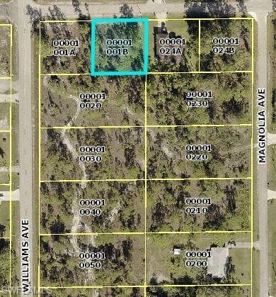 1005 W 9th ST LEHIGH ACRES, FL 33972