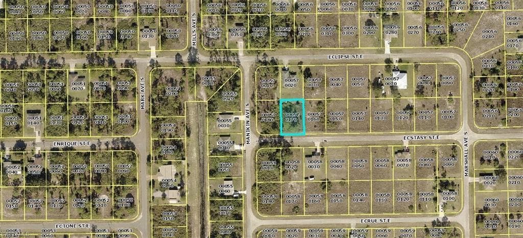 1139 Ecstasy ST E LEHIGH ACRES, FL 33974