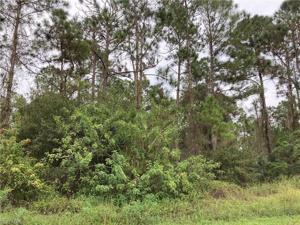 245 N Palomino ST CLEWISTON, FL 33440