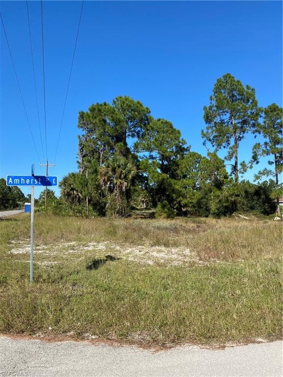 1105 Amherst ST E LEHIGH ACRES, FL 33974