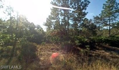 4186 E 26th ST ALVA, FL 33920