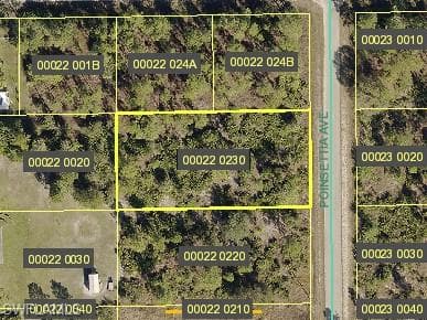 921 Poinsettia AVE LEHIGH ACRES, FL 33972