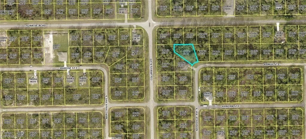 1207 Ramus ST E LEHIGH ACRES, FL 33974