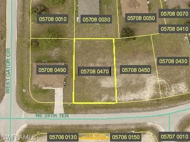 1005 NE 39th TER CAPE CORAL, FL 33909
