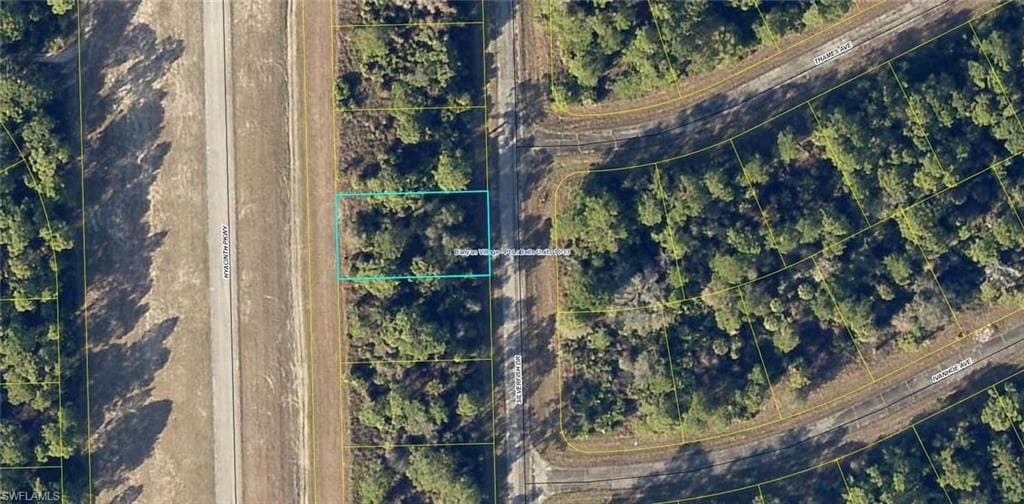 919 Silverfish DR OTHER, FL 33935