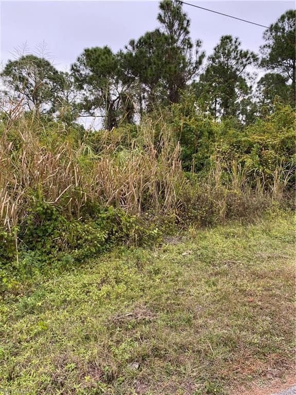 3118 29th ST SW LEHIGH ACRES, FL 33976
