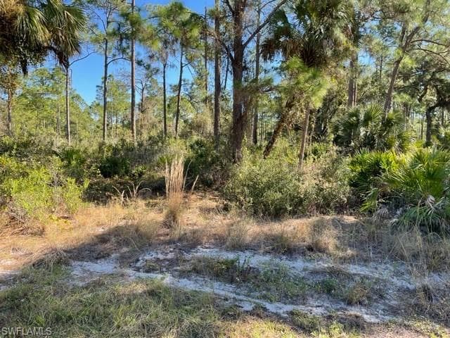 1714 Magnolia AVE LEHIGH ACRES, FL 33972