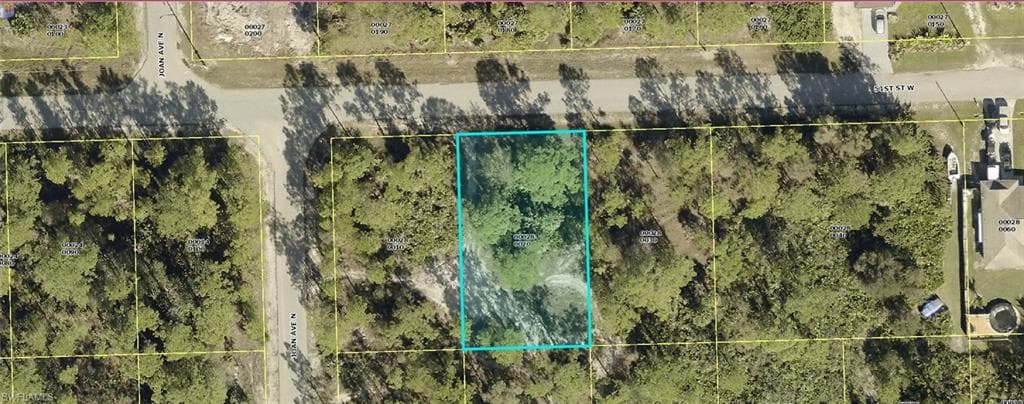 2917 51st ST W LEHIGH ACRES, FL 33971