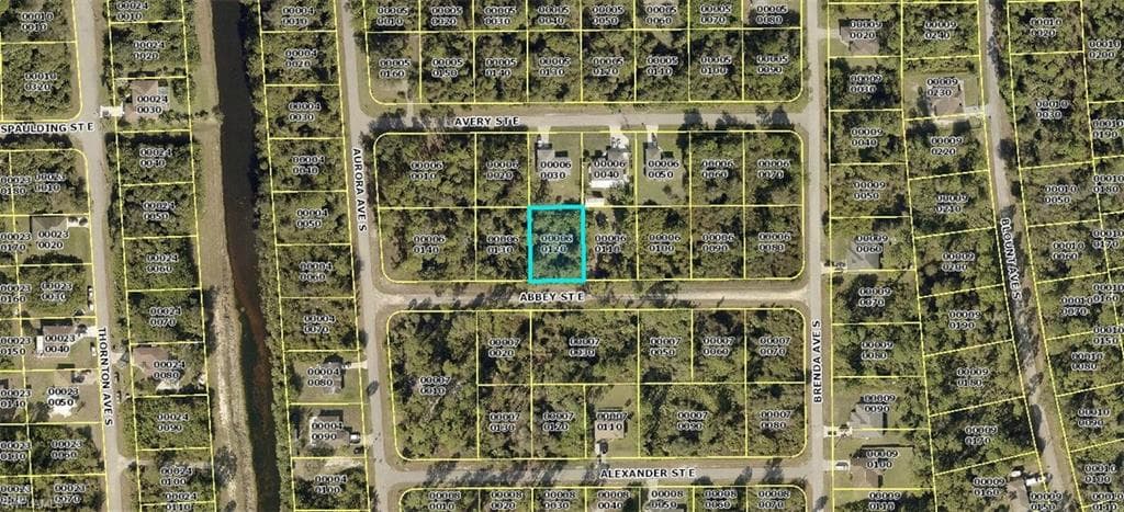 913 Abbey ST E LEHIGH ACRES, FL 33974