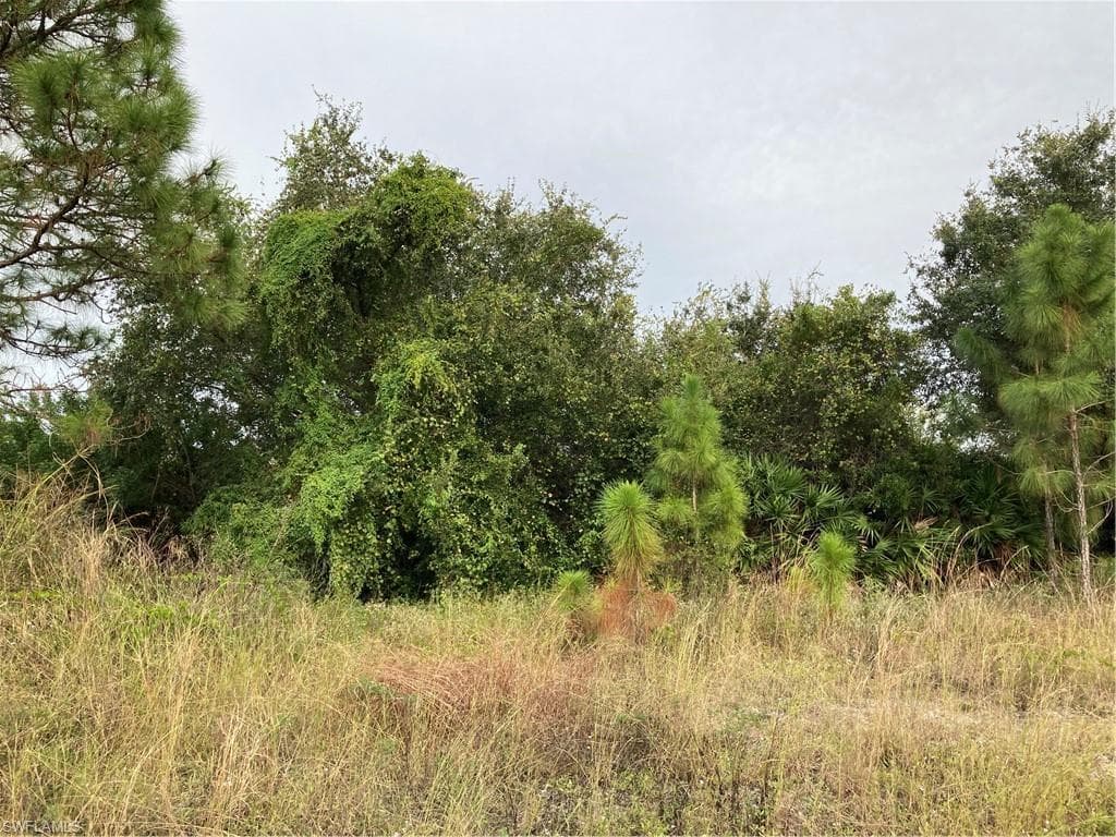 1111-1113 Circle DR LEHIGH ACRES, FL 33973