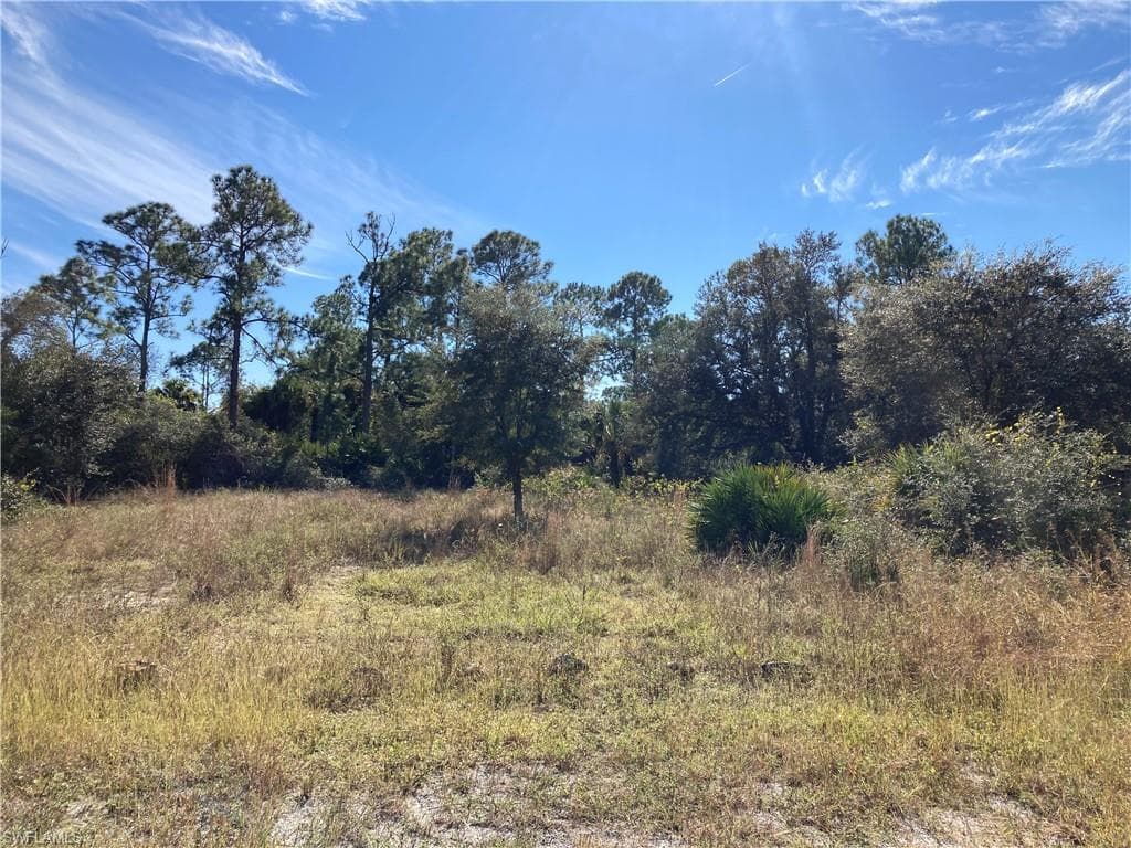 4204 E 24th ST ALVA, FL 33920