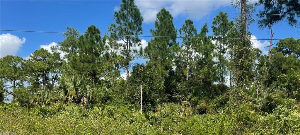 1603 E 6th ST LEHIGH ACRES, FL 33972