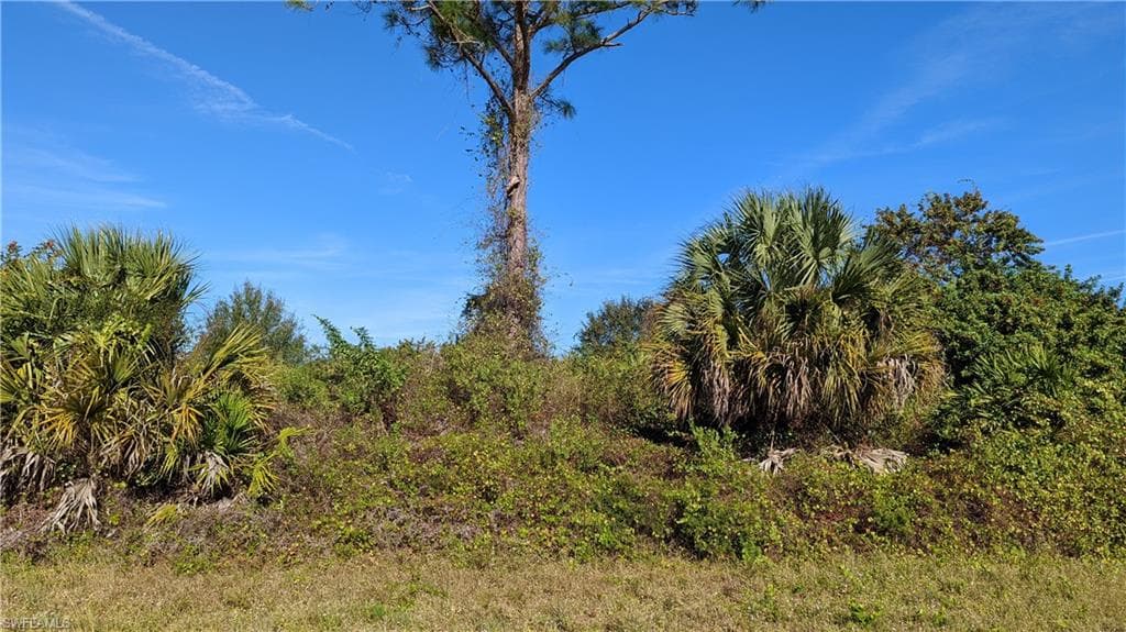 933 Green ST E LEHIGH ACRES, FL 33974