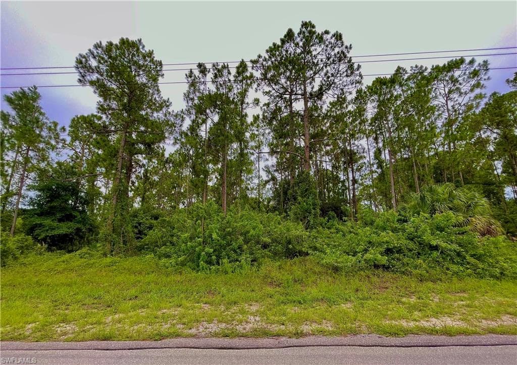 1705 W 17th ST LEHIGH ACRES, FL 33972
