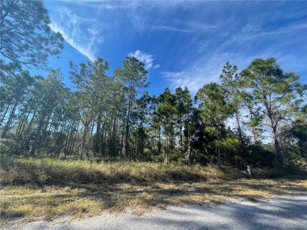 1021 Greenwood AVE LEHIGH ACRES, FL 33972