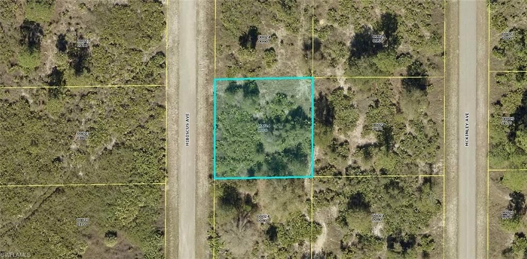1310 Hibiscus AVE LEHIGH ACRES, FL 33972