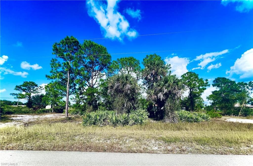 2916 30th ST SW LEHIGH ACRES, FL 33976