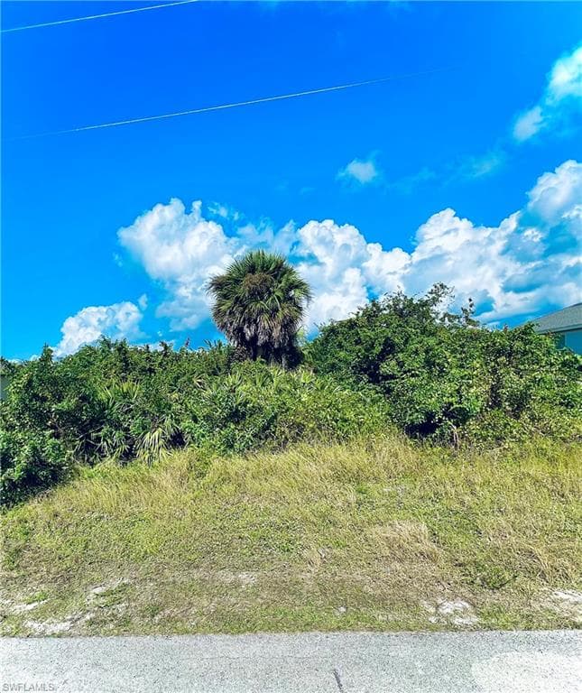 2904 21st ST SW LEHIGH ACRES, FL 33976