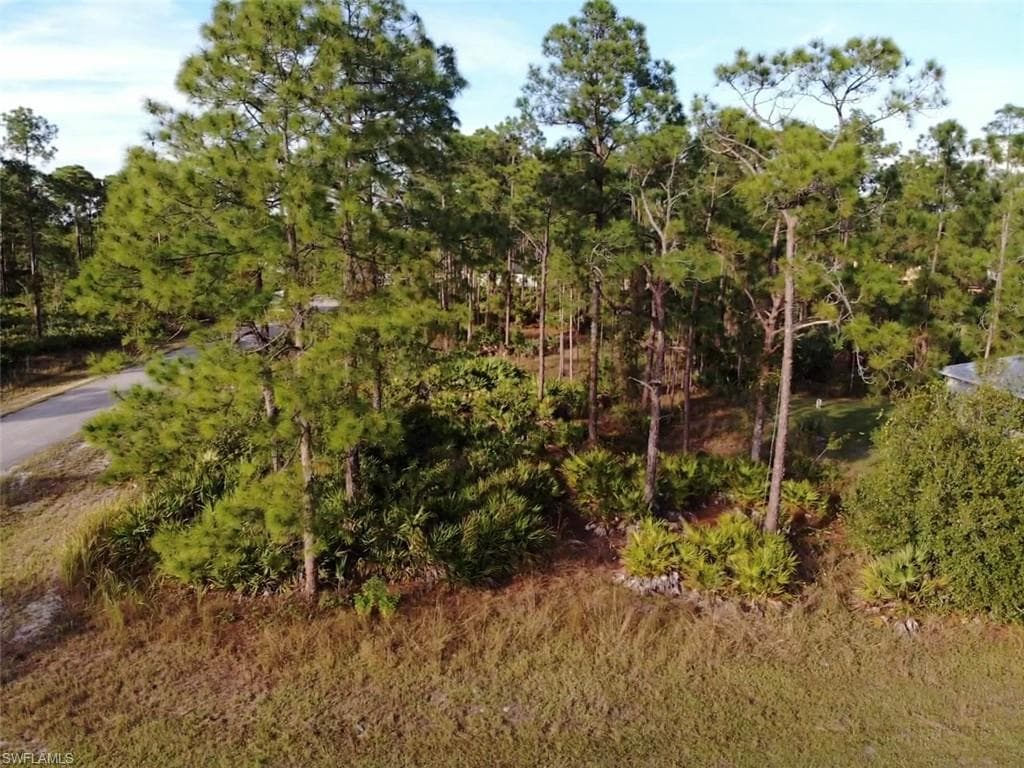 1106 W 11th ST LEHIGH ACRES, FL 33972
