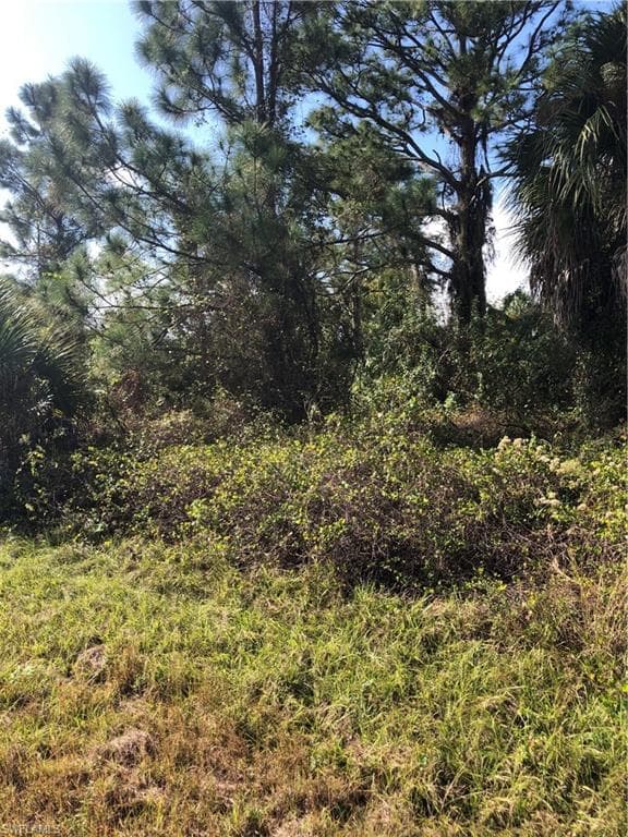 316 Laurel AVE LEHIGH ACRES, FL 33974
