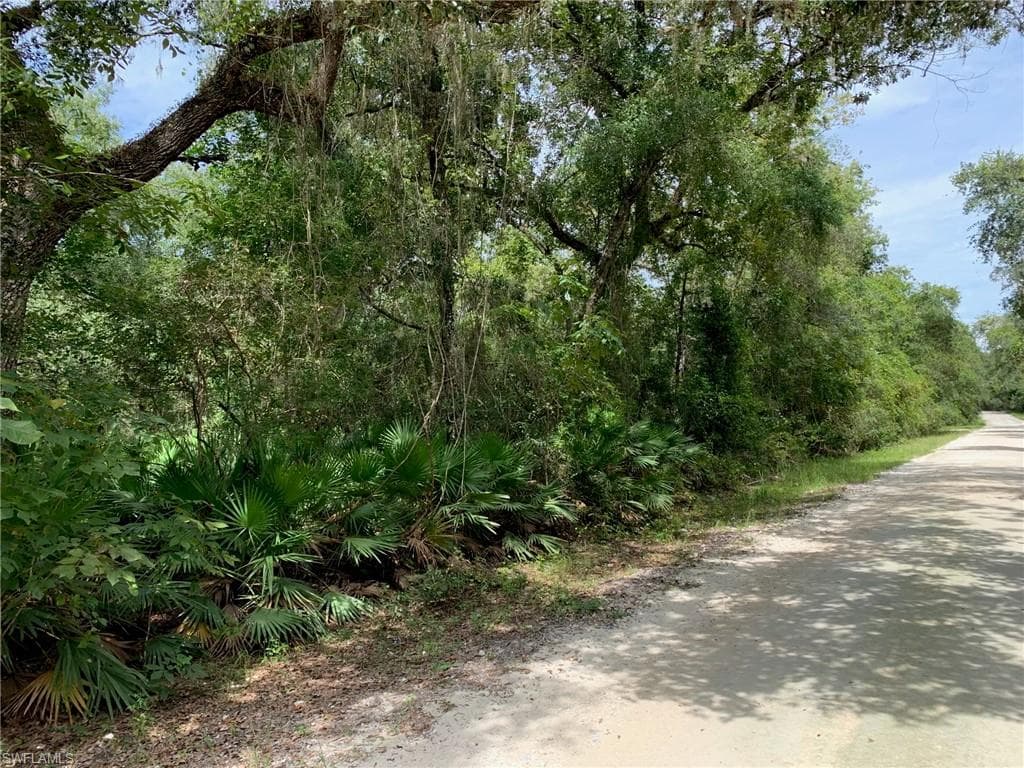 0 Coalstone DR WEBSTER, FL 33597