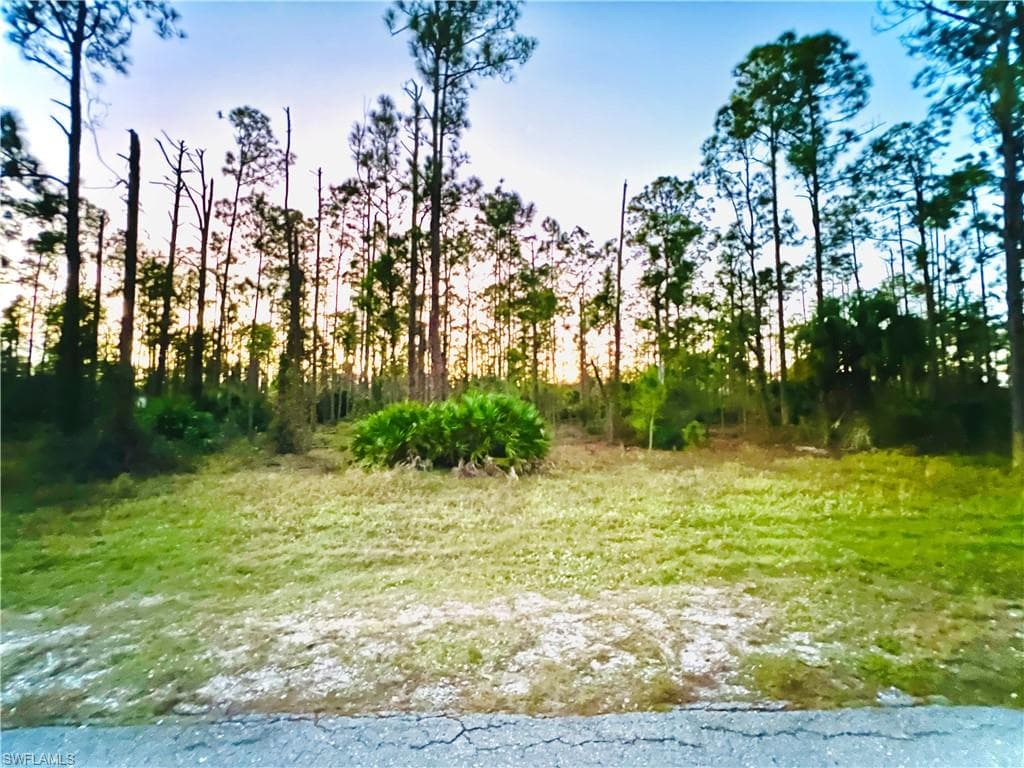 1115 Moore AVE LEHIGH ACRES, FL 33972