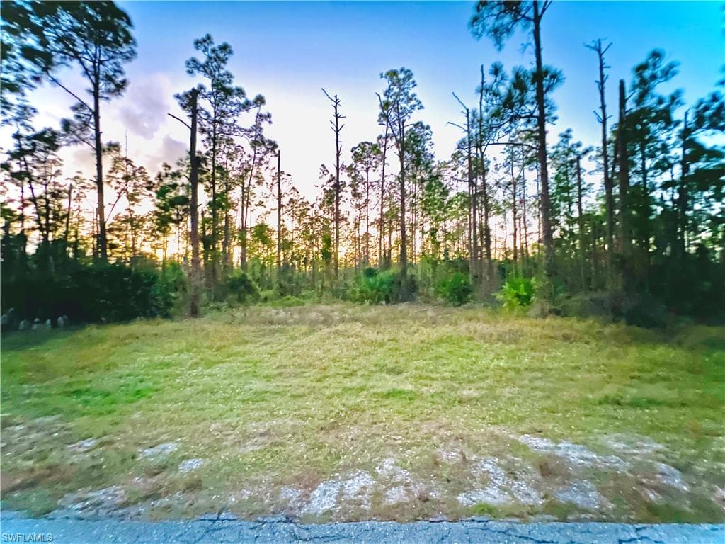 1117 Moore AVE LEHIGH ACRES, FL 33972