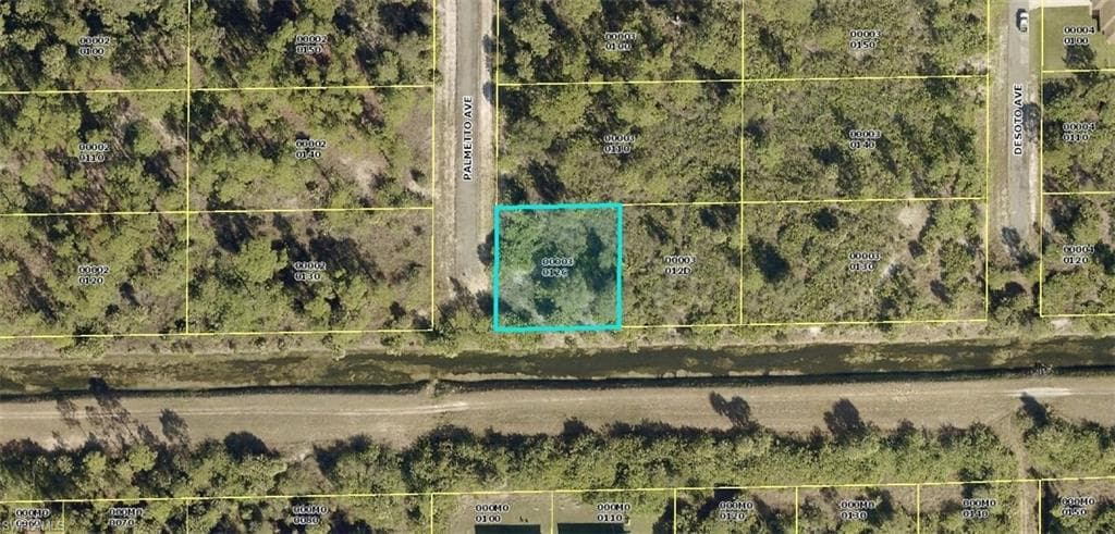 1200 Palmetto AVE LEHIGH ACRES, FL 33972