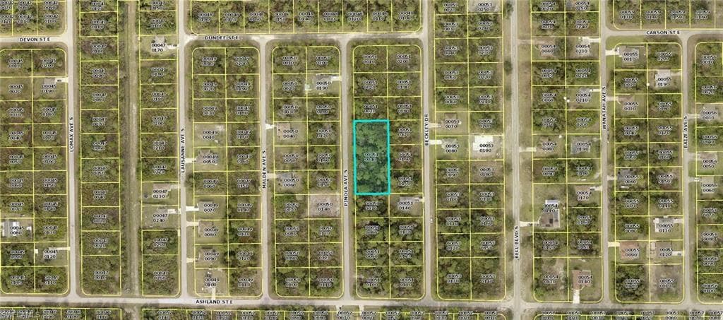 223 Pinola AVE S LEHIGH ACRES, FL 33974