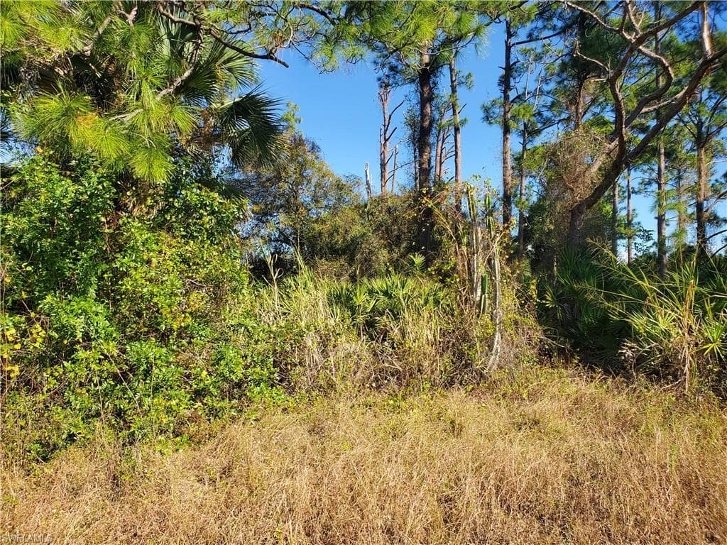 185 Karlow AVE LEHIGH ACRES, FL 33974