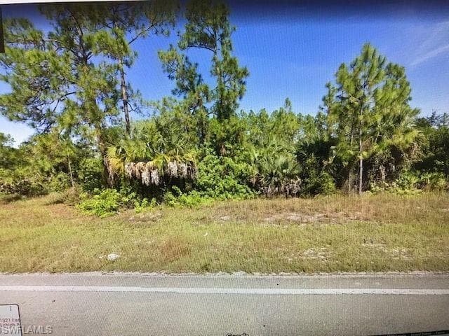 1321/1323 E 12th ST LEHIGH ACRES, FL 33972