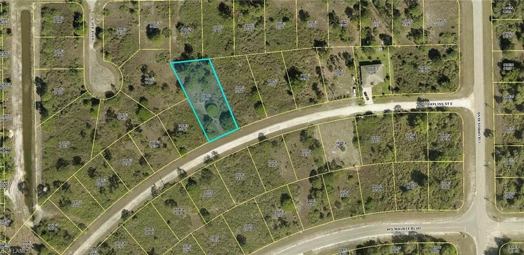 1157 Bayliss ST E LEHIGH ACRES, FL 33974