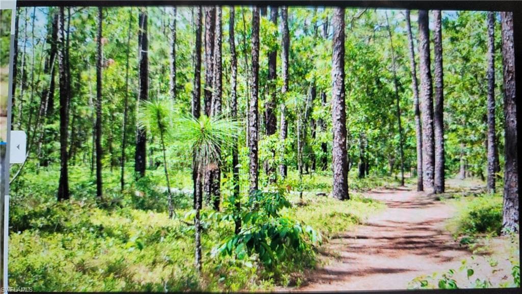 Hwy 60 E FROSTPROOF, FL 33843
