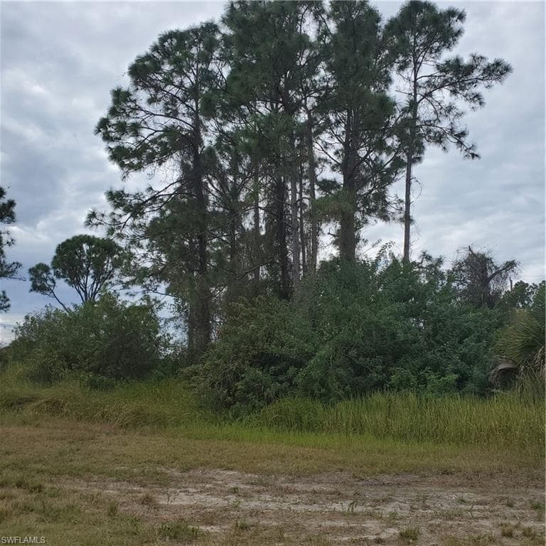 165 Thornton AVE S LEHIGH ACRES, FL 33974
