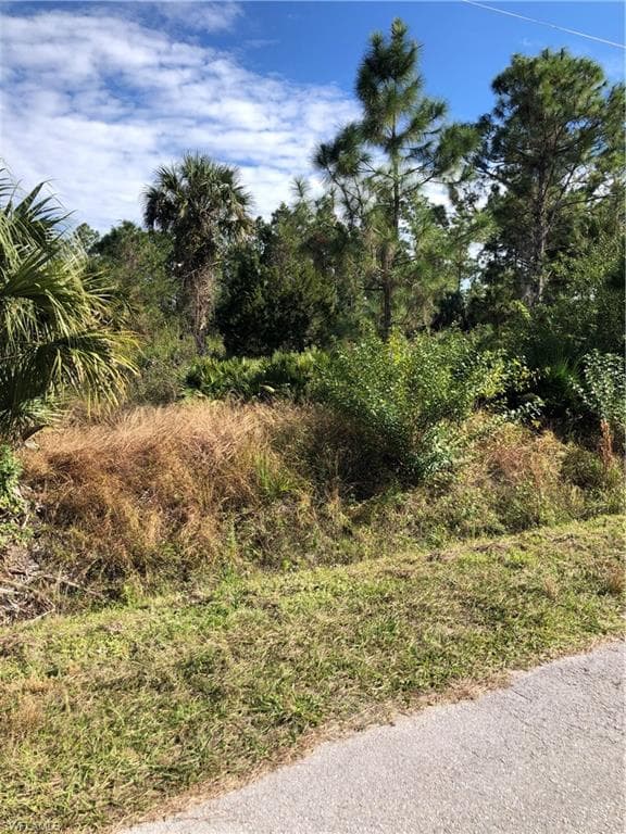 806 Congress AVE LEHIGH ACRES, FL 33972