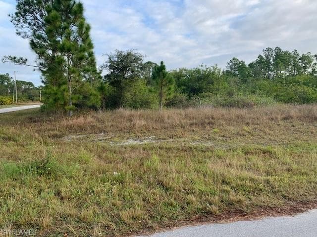 1013 Winters ST E LEHIGH ACRES, FL 33974