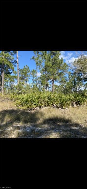 1059 Chandlee ST LEHIGH ACRES, FL 33974