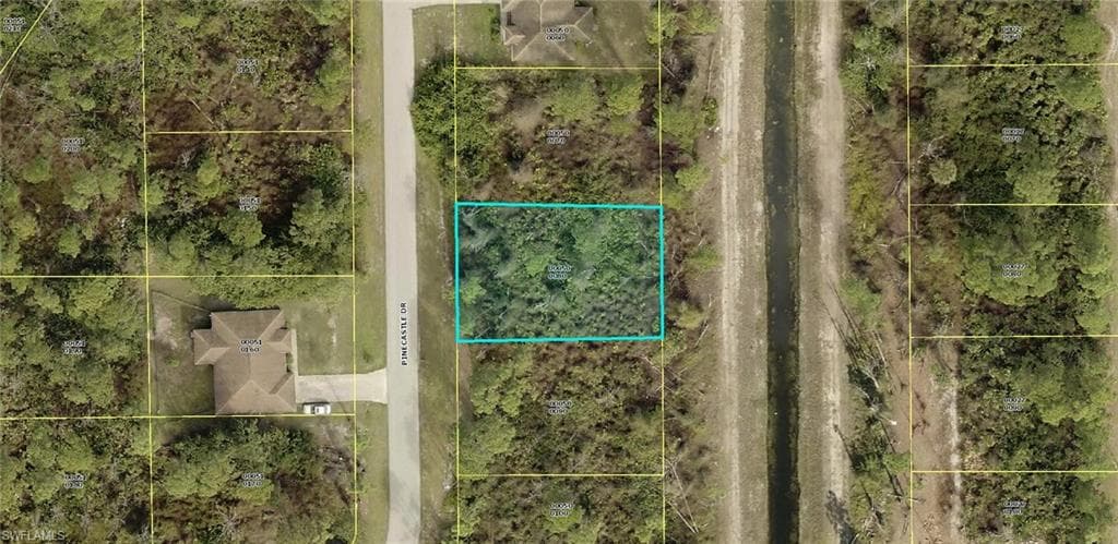 815 Pinecastle DR LEHIGH ACRES, FL 33974