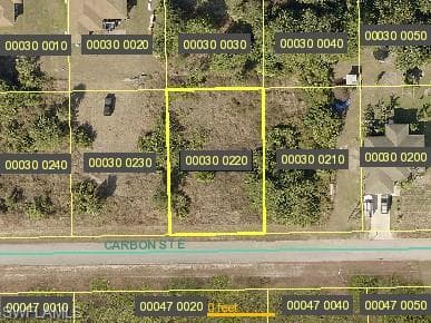 705 Carbon ST E LEHIGH ACRES, FL 33974