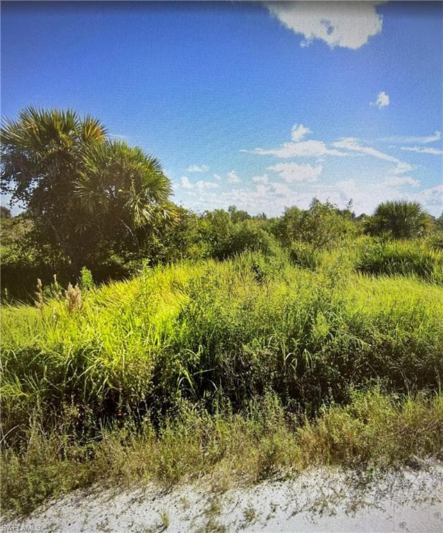 48041 Bermont RD PUNTA GORDA, FL 33982