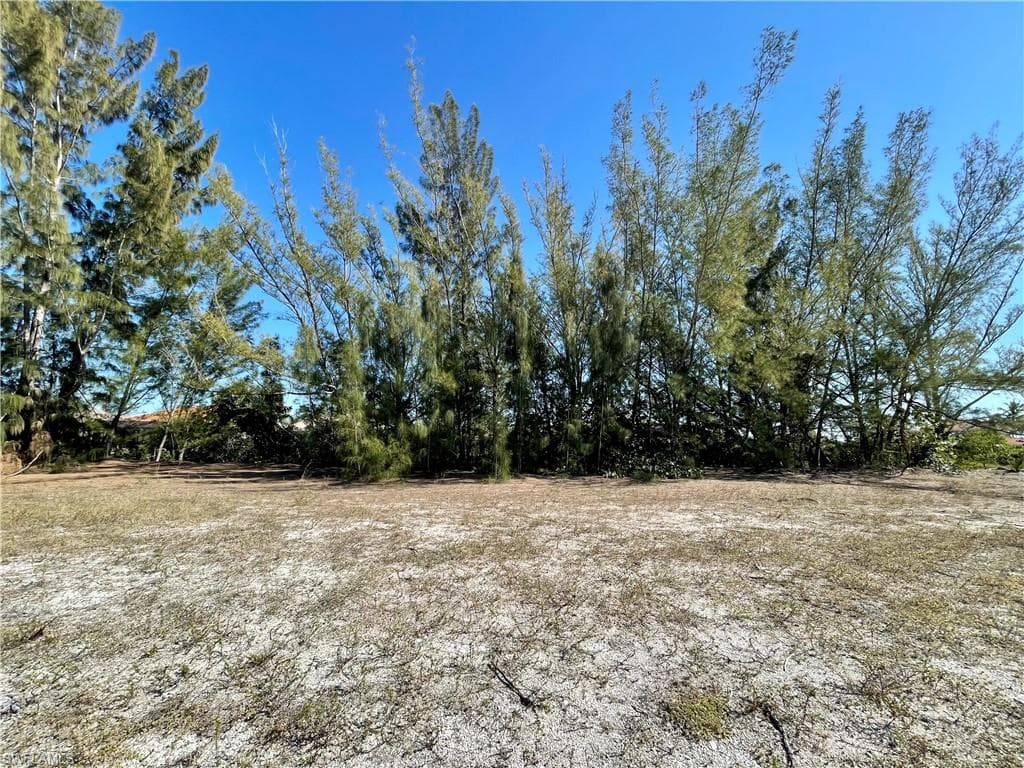 703 Old Burnt Store RD N CAPE CORAL, FL 33993