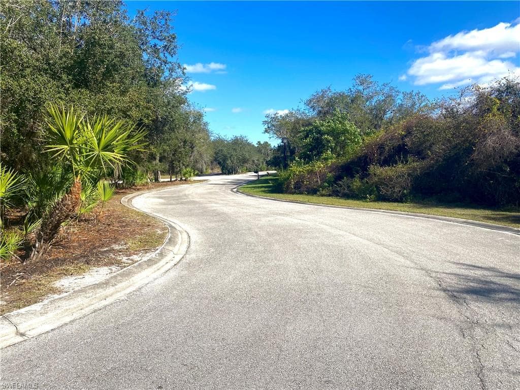 2117 Scrub Olive CT ALVA, FL 33920