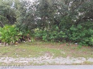 2507 67th ST W LEHIGH ACRES, FL 33971