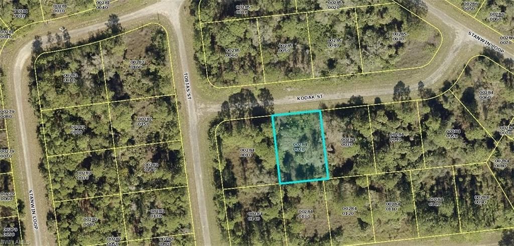 675 Kodak ST LEHIGH ACRES, FL 33972