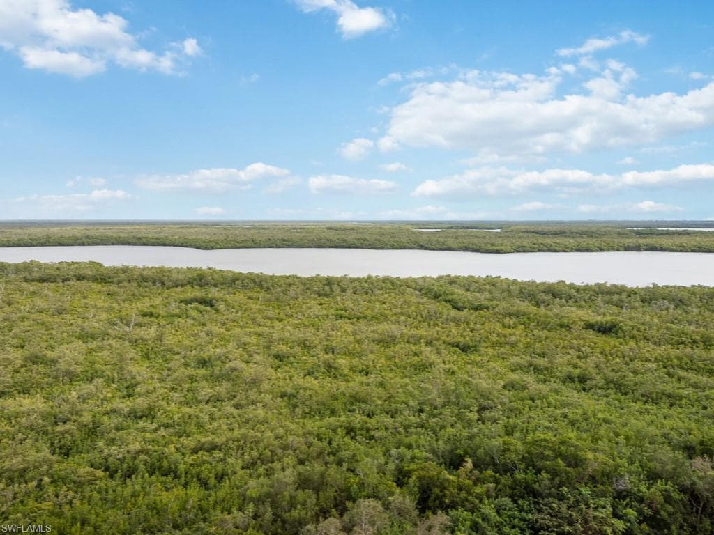 1050 Borghese LN 1002 NAPLES, FL 34114