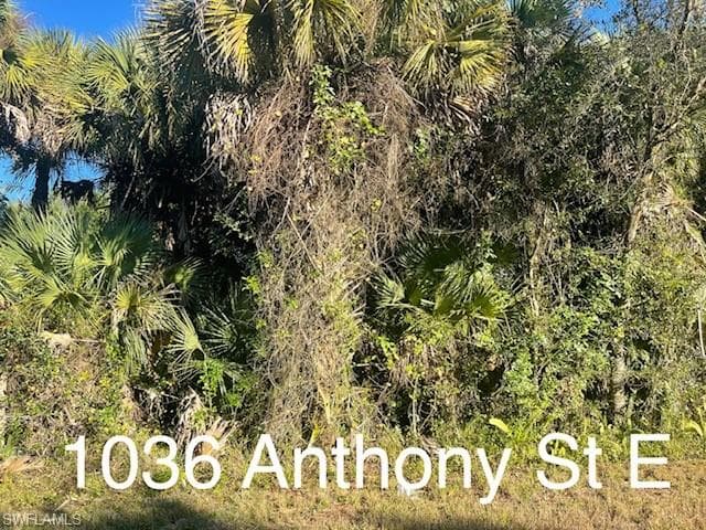 1036 Anthony ST E LEHIGH ACRES, FL 33974