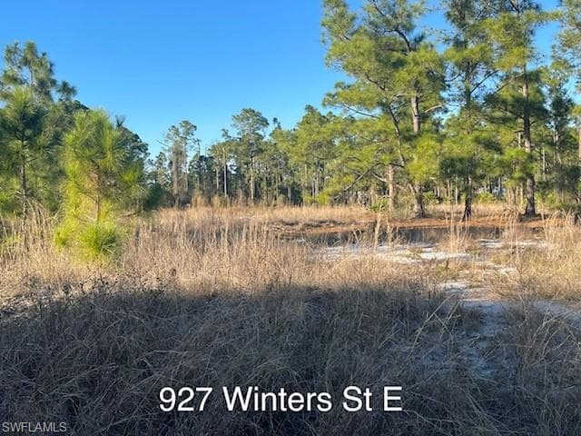 927 Winters ST E LEHIGH ACRES, FL 33974