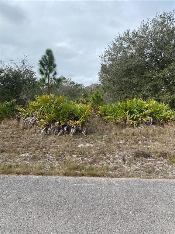 6011 Elaine AVE N LEHIGH ACRES, FL 33971