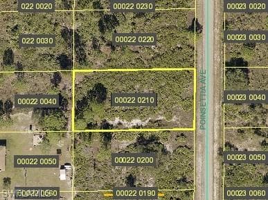 1317 Poinsettia AVE LEHIGH ACRES, FL 33972