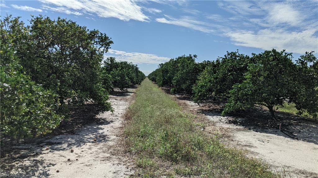 Lot 6 7th RD LABELLE, FL 33935